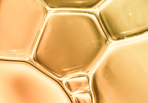 Ferulic Acid