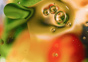 Sea Buckthorn & Avocado Oils