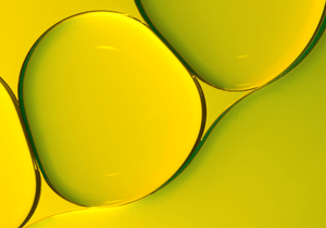 Sunflower Seed Oil